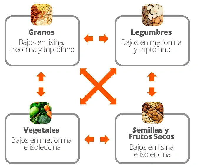 combinaciones de granos y legumbres para proteína completa