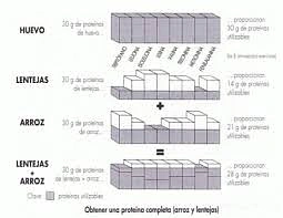 gráfica con los valores de aminoácidos eseciales por cereales y legumbres versus huevo